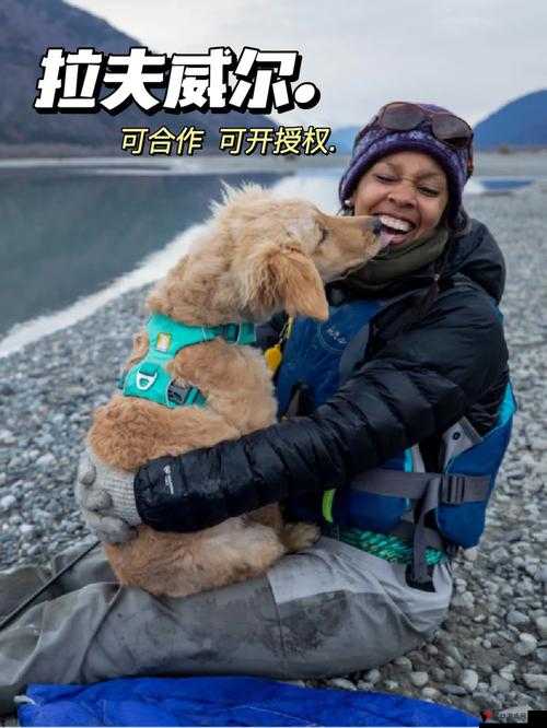ZoomZookeeper 狗:探索未知世界的探险家