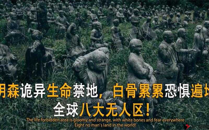 荒野禁区:探索无人区码卡 3 卡 4 卡毛毛片背后的神秘世界