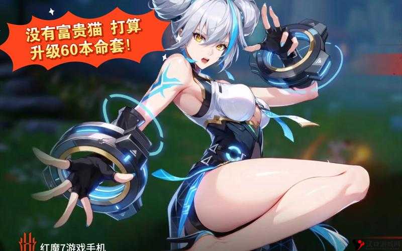 口袋妖怪复刻,贵妇猫(富贵猫)种族值深度解析