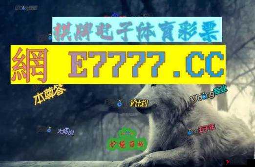 九幺免费版网站 nba 带你领略 NBA 赛事精彩