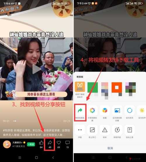 免费的短视频免费下载：涵盖各类精彩内容的便捷获取途径