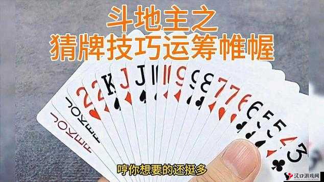 二人斗地主,解锁高手秘籍,共享打牌智慧