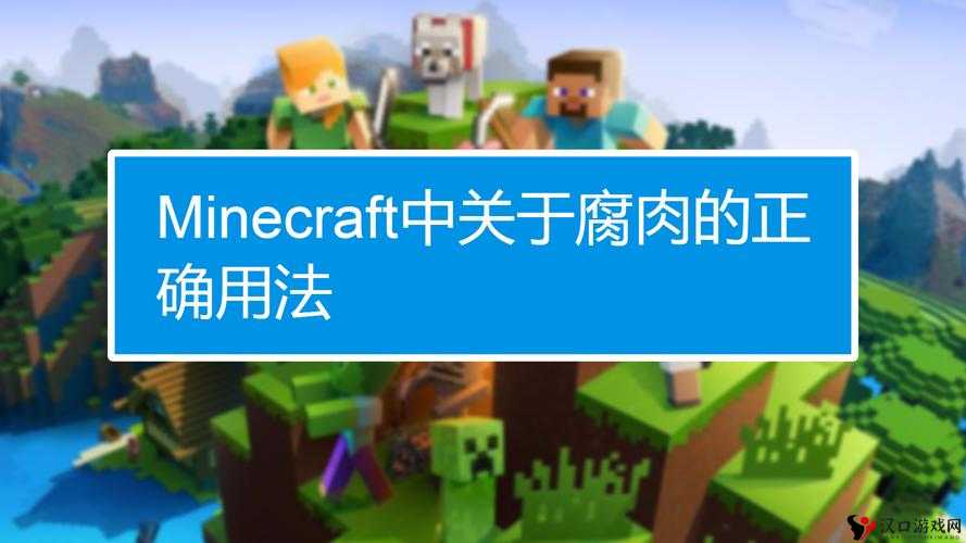 我的世界腐肉,用途、净化与管理策略