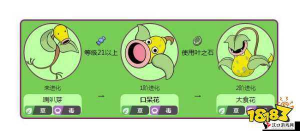 精灵宝可梦GO,探索口呆花的坐标与捕捉策略