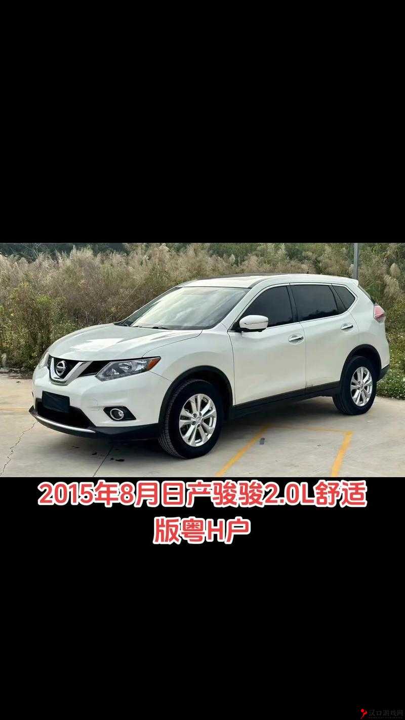 国产日产欧产精品网站之丰富资源与独特魅力