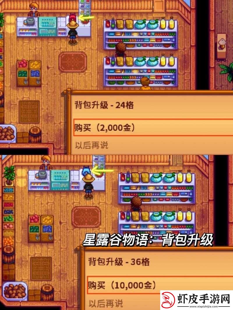 星露谷物语背包购买及升级作用解析