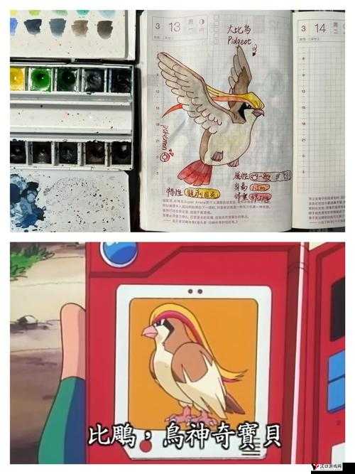 精灵宝可梦GO探索，比比鸟捕捉指南与坐标揭秘