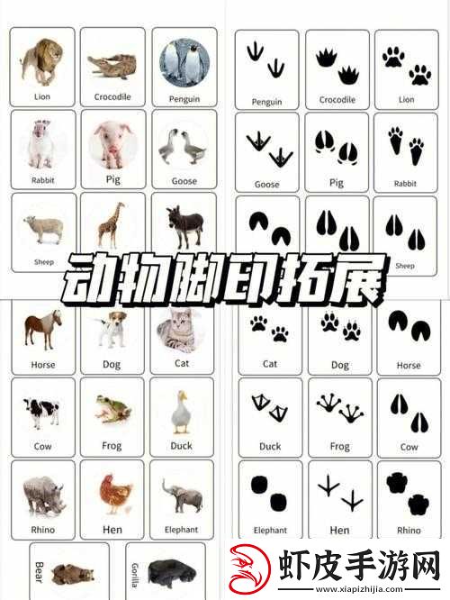 逗趣国冒险之旅