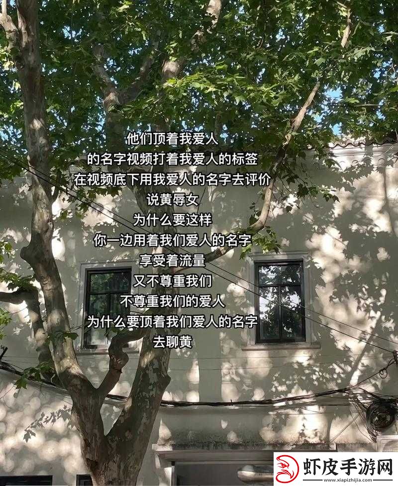 别顶了视频