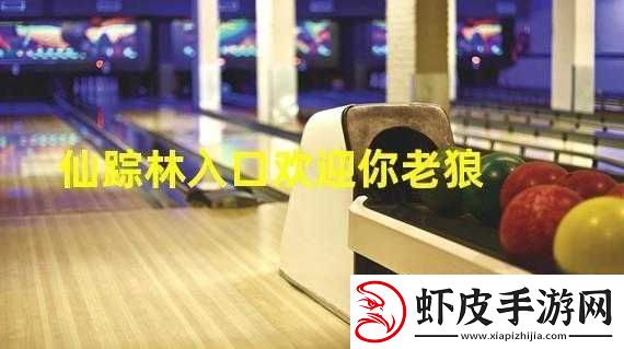 最新仙踪林视频欢迎您