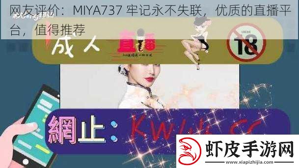 网友评价