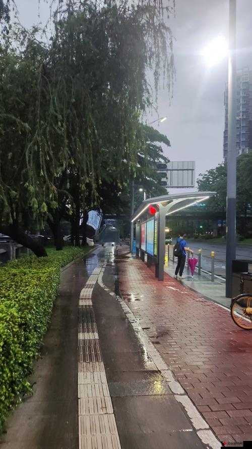 刚下班坐公交车被高 C 怎么办:究竟如何应对这一突发状况