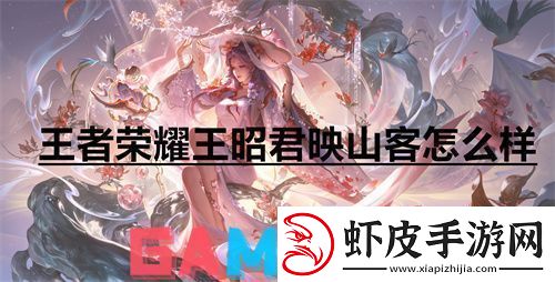 王者荣耀王昭君映山客怎么样