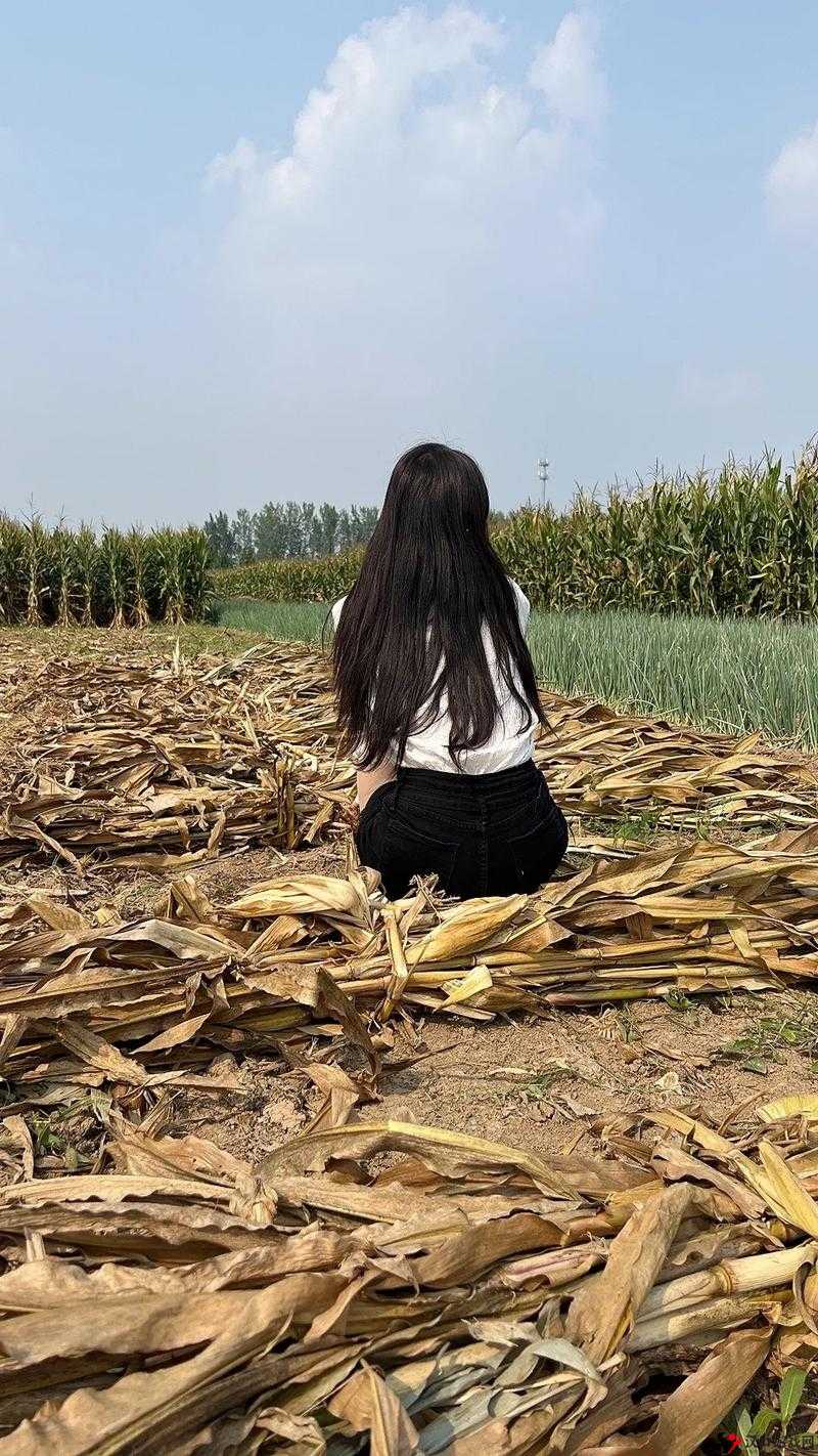 玉米地方的那些事:乡村记忆与故事