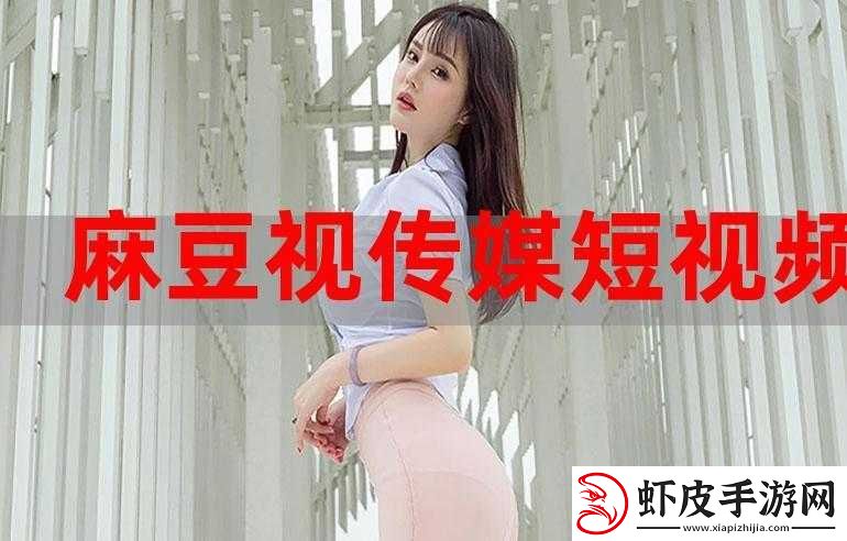 麻豆视传媒短视频黄入口