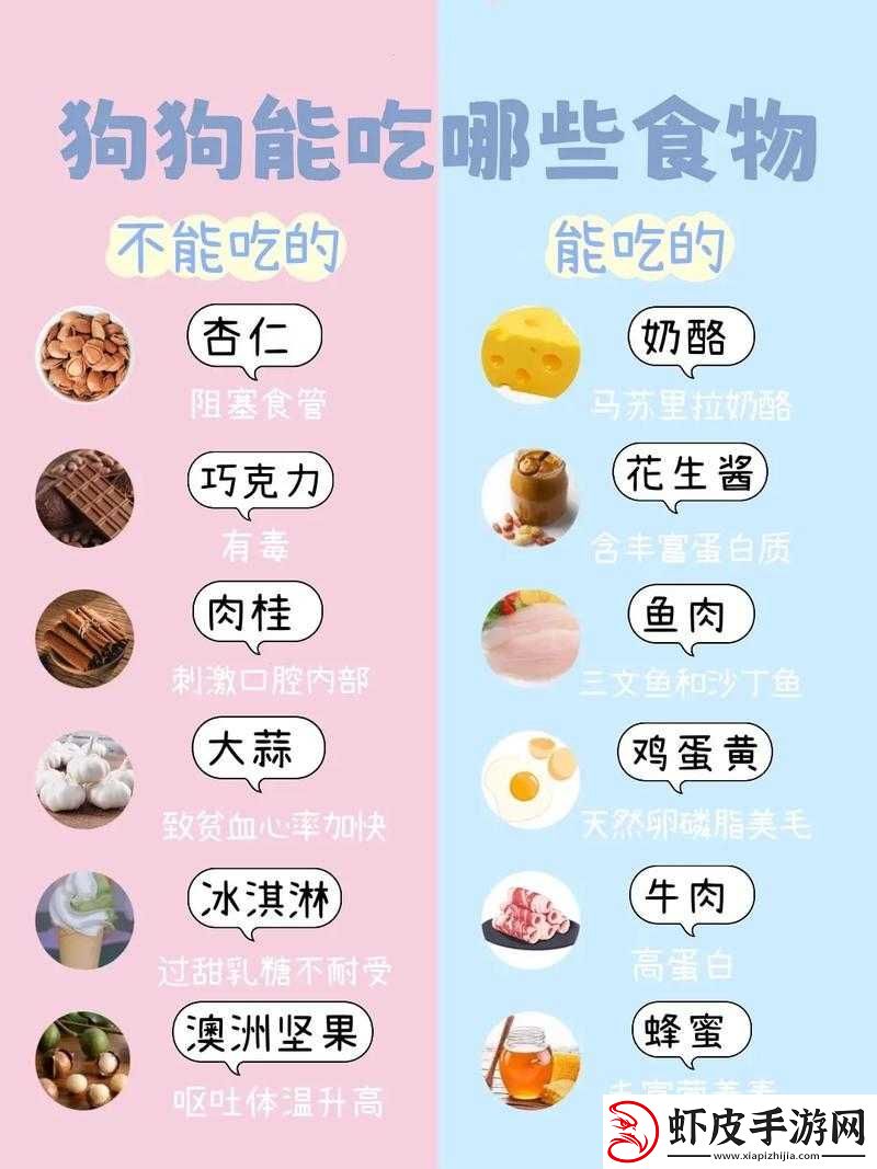人狗胶配方大全狗狗播放之相关介绍