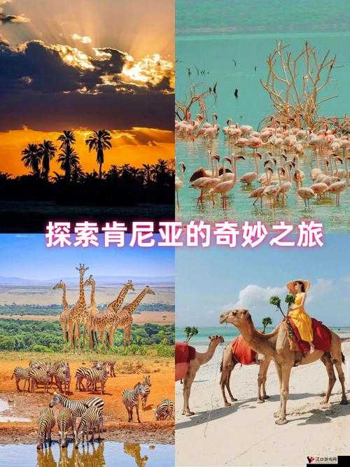waswaskino:探索未知的奇妙之旅