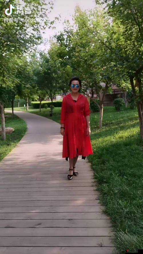 东北老阿姨最后的巅峰澎湃号:精彩继续