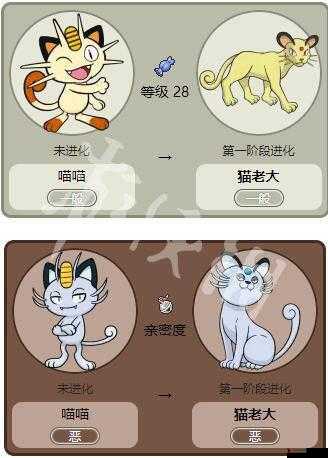 精灵宝可梦GO猫老大,技能搭配全攻略