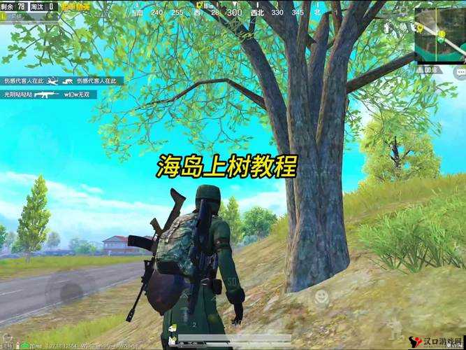 和平精英:巧妙技巧揭秘上树之道
