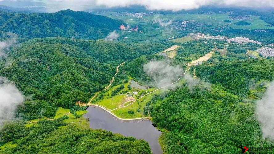 探秘伊甸园 2024 二路三路四路五路:神秘之旅