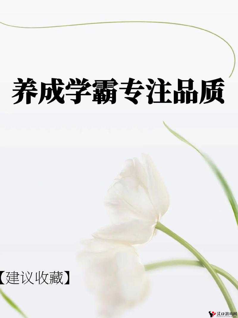 以伙伴品质划分?品质如何提升?
