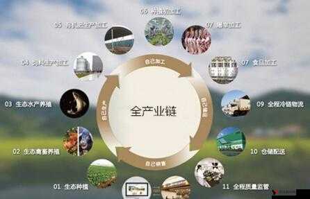 《大明龙权》交易系统深度解析:揭秘古代经济商贸策略与现代虚拟市场的融合创新之路