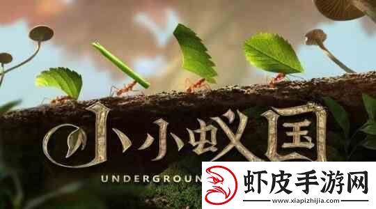 小小蚁国阵容如何搭配