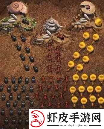 小小蚁国阵容如何搭配