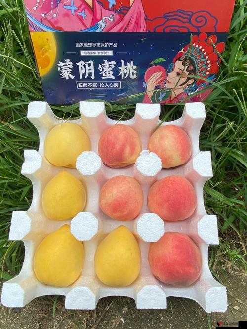 无人一区二区区别是什么红桃:详细解析