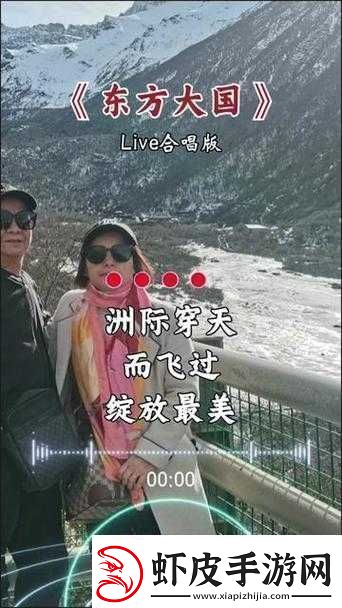 征国双开挂机软件指南