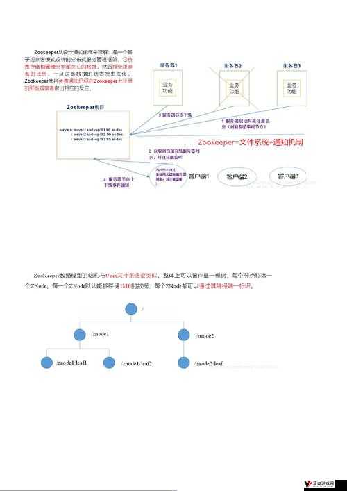 Zoom 美国 Zookeeper 打得开了吗:最新情况追踪
