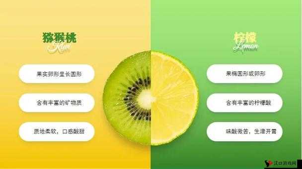 老牛嫩草一二三产品区别蘑菇视频深度解析与对比分析让你一目了然