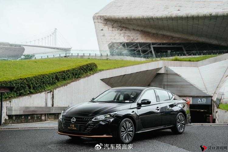 日产精致一致六区麻豆:演绎极致魅力