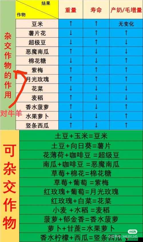 全民农场手游农田玩法深度解析与攻略指南