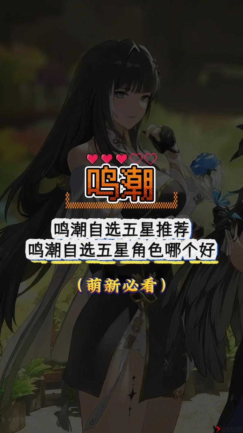 关于《鸣潮》自选星角色选谁:精心推荐让你无悔的挑选