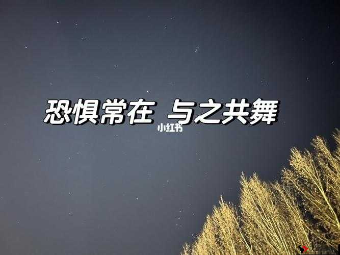 龙战恐惧技能深度解析:恐惧效果详解与抵抗策略探讨