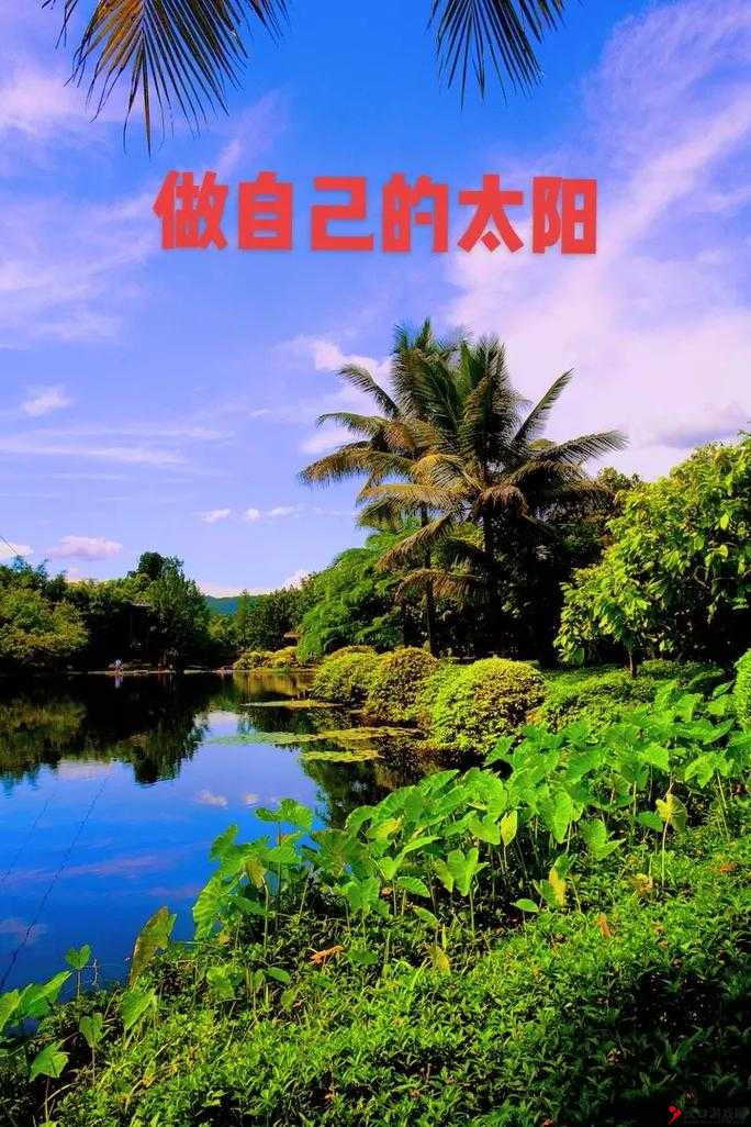 月月我这是帮你排阴毒,助你远离烦恼与困扰,重拾健康生活