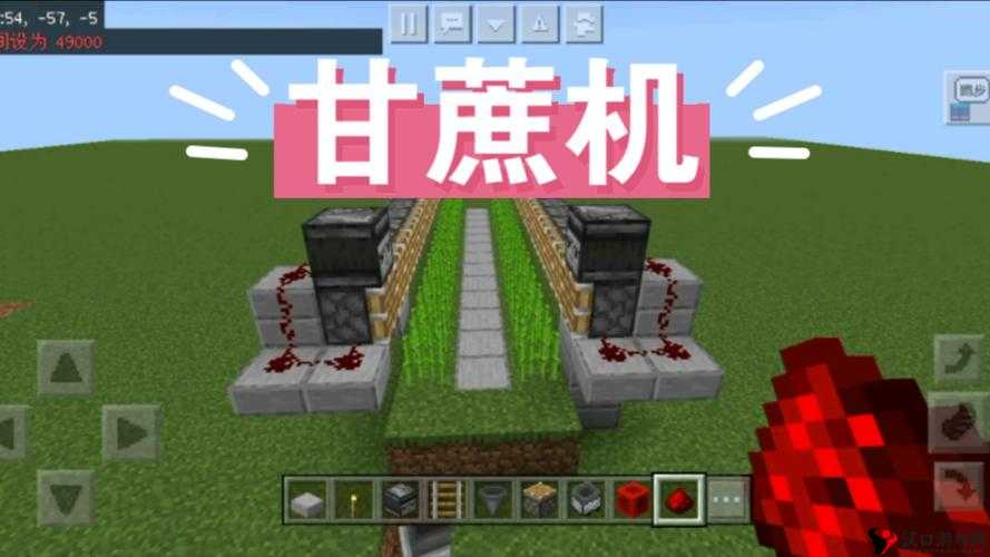 我的世界甘蔗,资源管理与高效利用指南