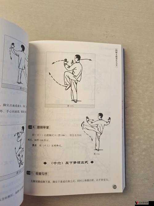 大掌门甲级武功终极揭秘:太极拳图鉴——古典武术之美与实战秘籍的全面解析