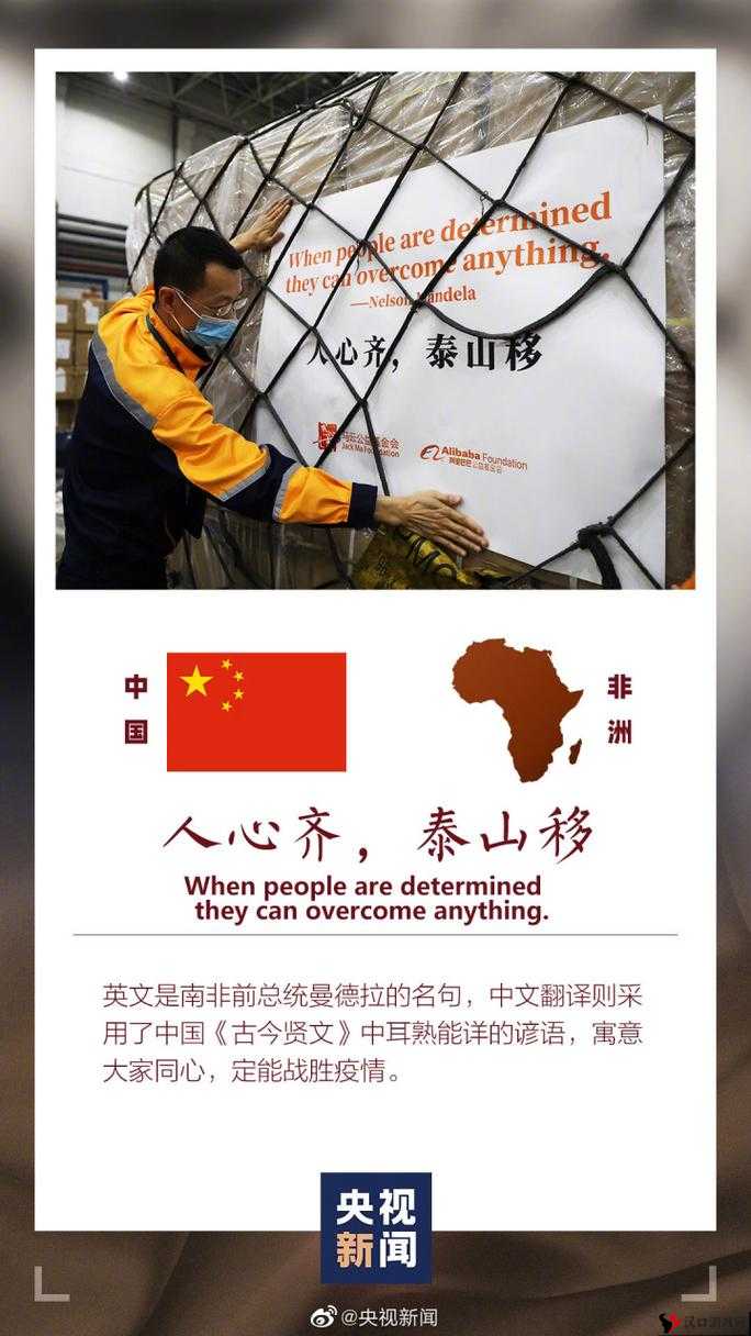 《铁杆国》角色选择多样性解析:可扮演角色数量探究》