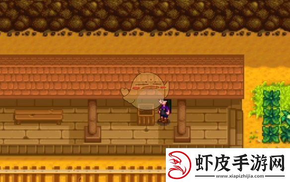 星露谷物语神秘的齐任务怎么做