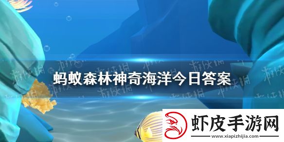 人们熟悉的寄居蟹属于以下哪种分类
