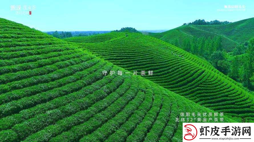 仙踪林