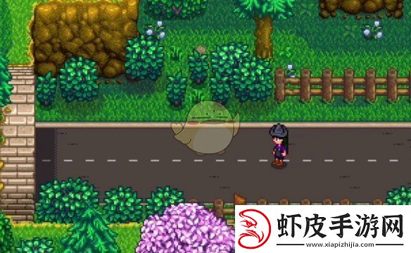 星露谷物语神秘的齐任务怎么做