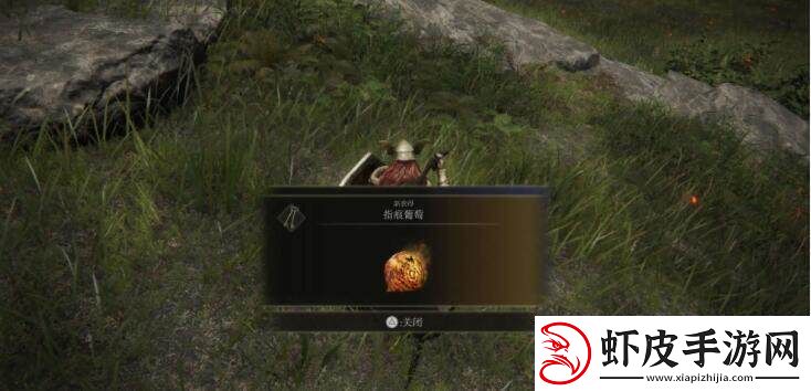 如何在艾尔登法环中获取投火技能的方法与途径