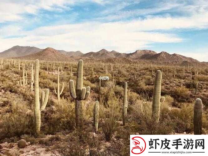 妹妹窝人体色