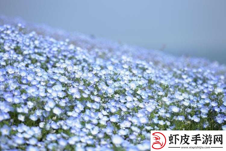 俄罗斯满天星在线观看免费高清