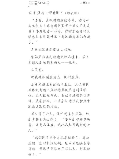 一家乱战王芳小说全文阅读