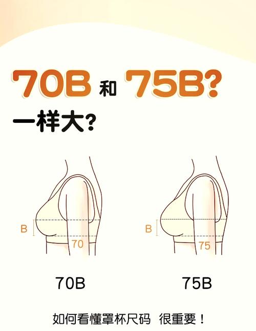 B大与小哪个好